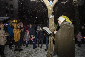 003 Pozdrav zimi inpraznik luci Foto atelje Postojna